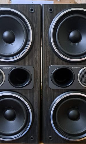 Bose Bluetooth & Wireless Speaker 2.0 - Blue