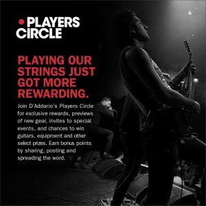 D'Addario Bronze Acoustic Guitar Strings