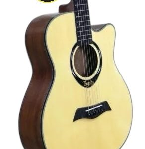 Tayste L-720A Acoustic Guitar