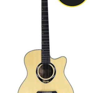 Tayste L-720A Acoustic Guitar