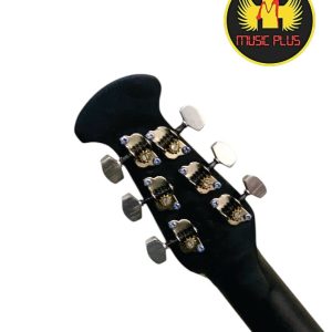Signature Roghu Series Acoustic Guitar