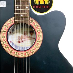 Signature Roghu Series Acoustic Guitar