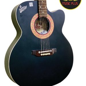 Signature Roghu Series Acoustic Guitar