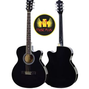 Tayste T-401 Acoustic Guitar