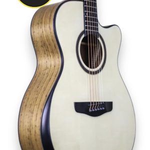 Tayste LS-570 Acoustic Guitar
