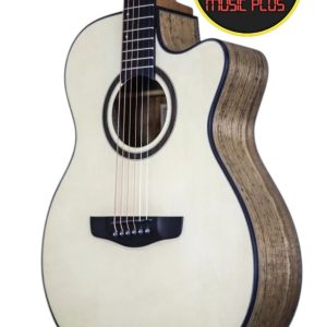 Tayste LS-570 Acoustic Guitar