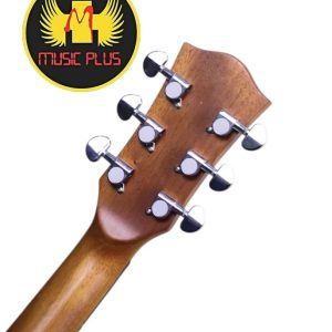 Tayste LS-570 Acoustic Guitar