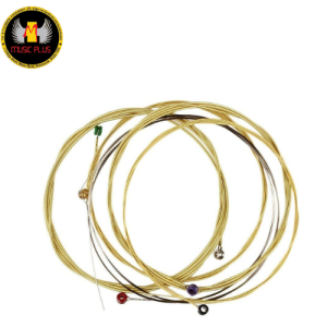 Orphee TX620 / TX630/TX640 Acoustic guitar String